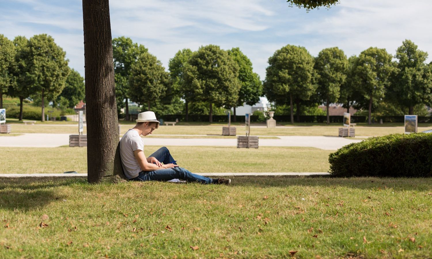 Groene long van Caen