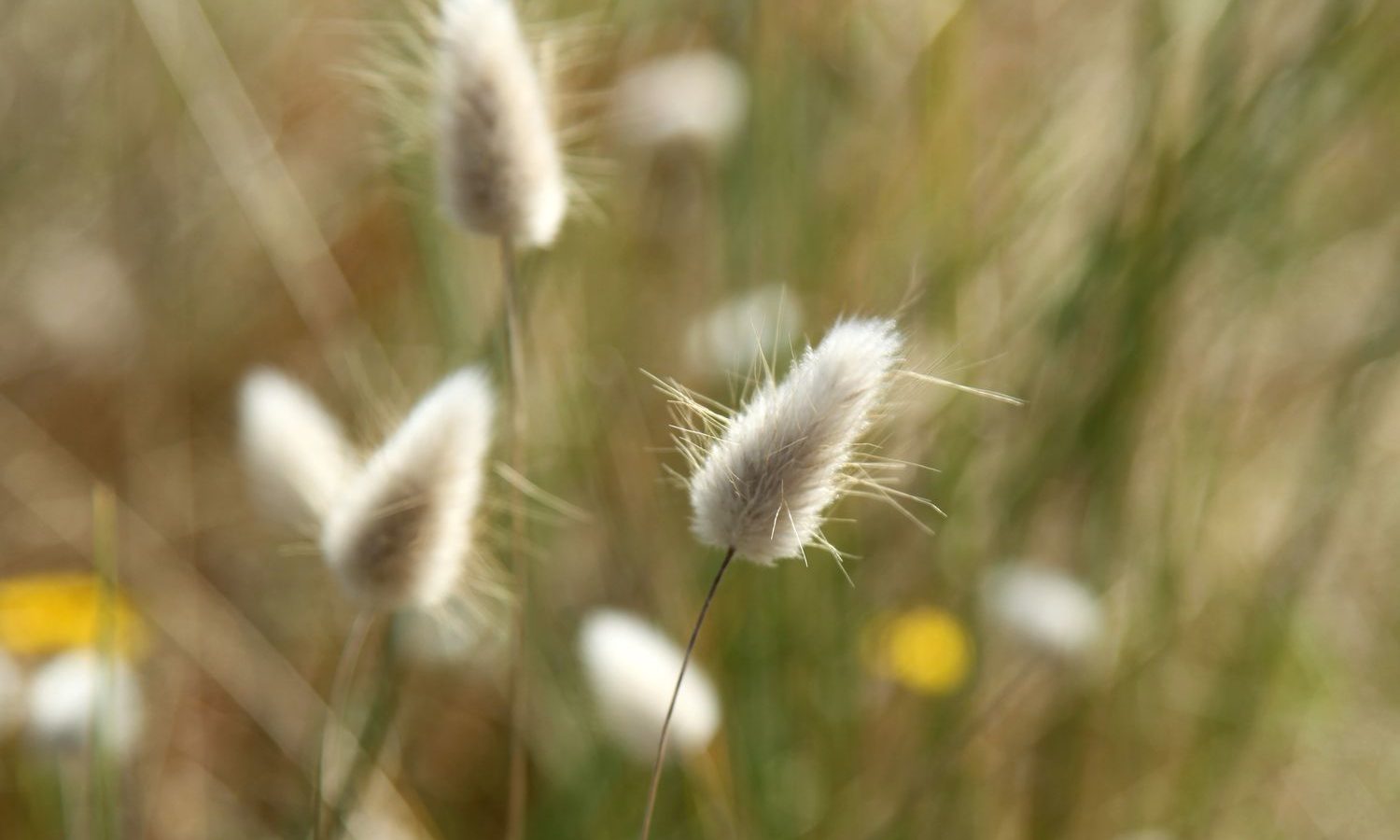Natuurverblijf in het land van de moerassen