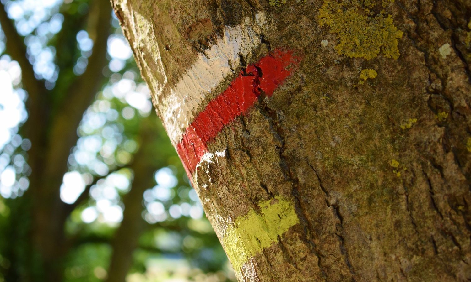Wandelingen en trektochten