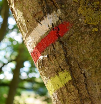 Wandelingen en trektochten