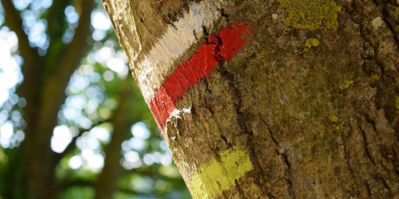 Wandelingen en trektochten