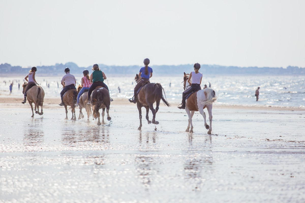Balade à cheval en bord de mer
