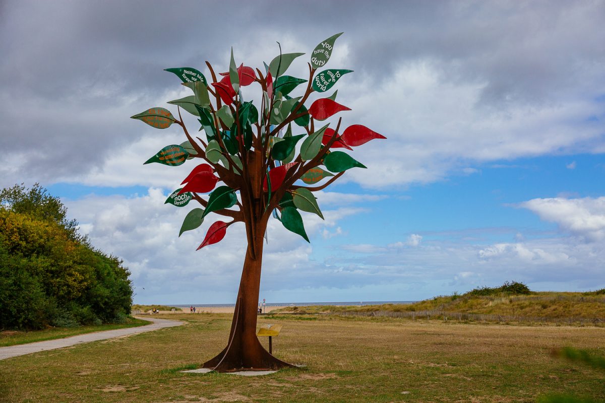 Arbre de la Liberté à Ouistreham