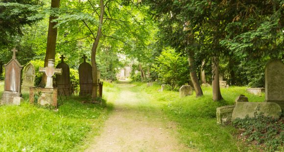 Een landelijk intermezzo op de slapende begraafplaatsen van Caen
