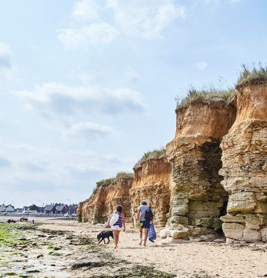 Parken, tuinen en natuurgebieden met uw hond