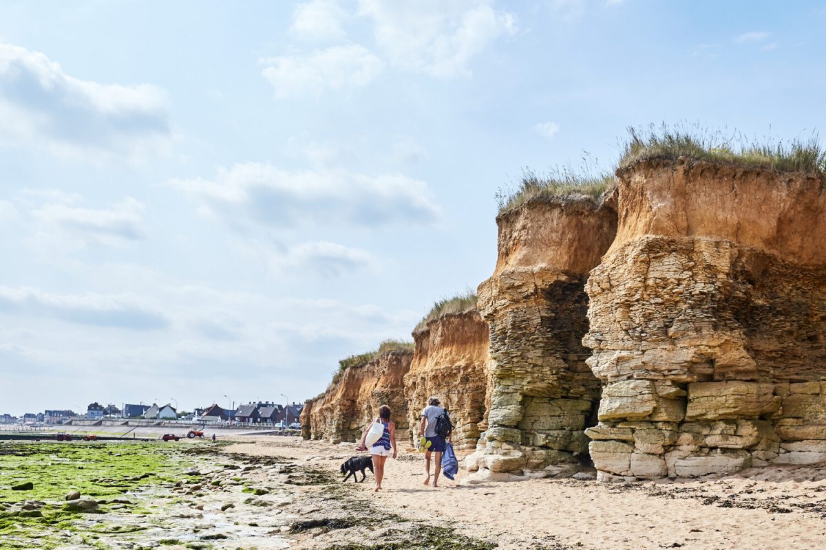 Parken, tuinen en natuurgebieden met uw hond