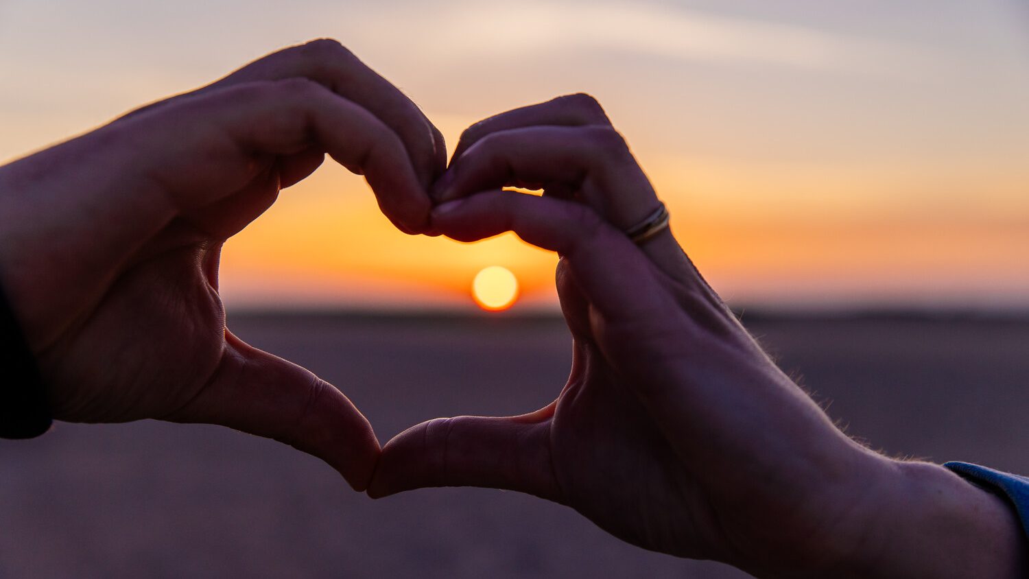 waar het allemaal gebeurt