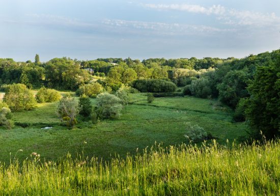 -® T.Houyel-ENS DAN-16