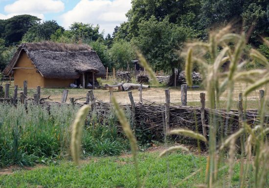 2017 ORNAVIK des Viking aux Normands (6)