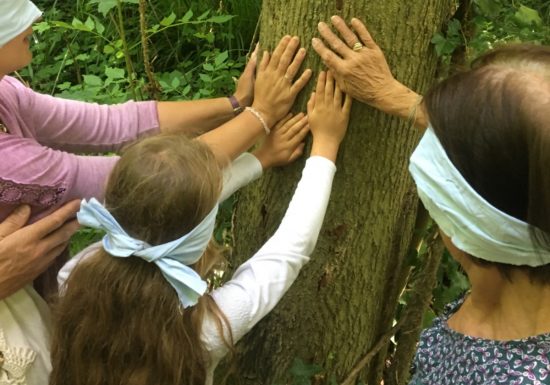 20190708-PromenadeSebsorielleauBoisduCaprice-MNE-EP–13–2