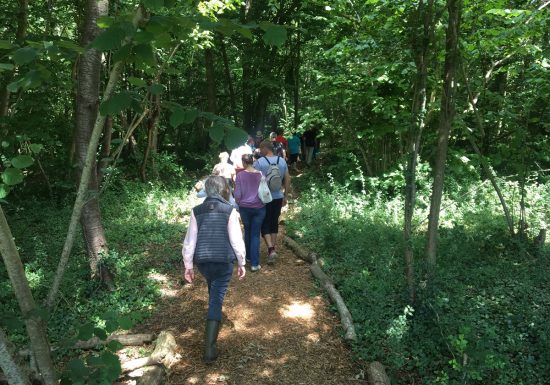 20190708-PromenadeSebsorielleauBoisduCaprice-MNE-EP–4–3