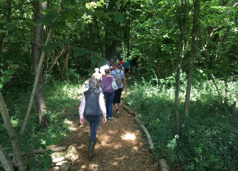 20190708-PromenadeSebsorielleauBoisduCaprice-MNE-EP–4–3