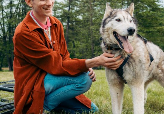 2023-Sacha-Soffer-Calvados-Attractivité-Will-to-Go (2)