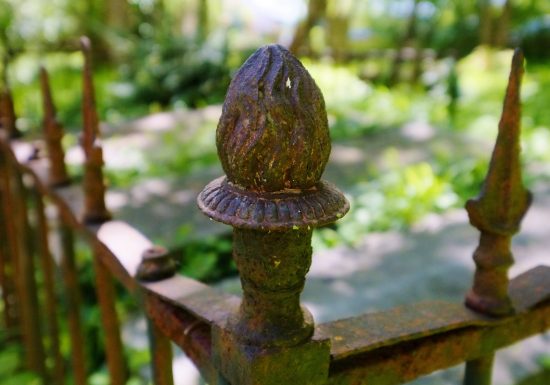 283933-Cimetiere-dormant–cimetiere-protestant-Caen-la-mer-Tourisme—Alix-JONET-1200px