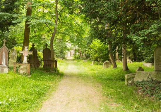 294107-Cimetiere-dormant-des-4-nations-a-Caen-Caen-la-mer-Tourisme—Pauline—Mehdi—Photographie-1200px
