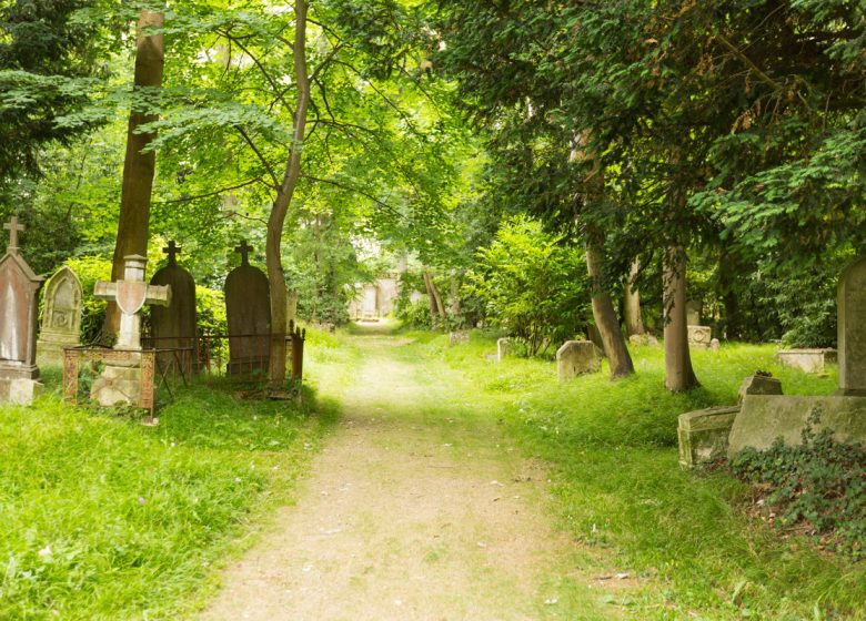 294107-Cimetiere-dormant-des-4-nations-a-Caen-Caen-la-mer-Tourisme—Pauline—Mehdi—Photographie-1200px