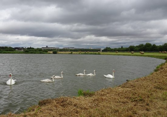 33530-La_Prairie-Jean-Christophe_LORIEUX___Ville_de_Caen-1500px