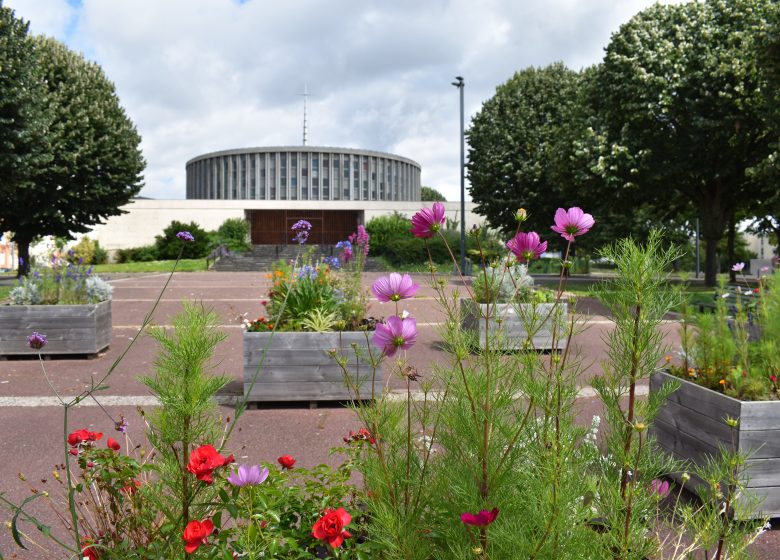 533290-Jardins_du_monde_-_Quartier_Grace-de-Dieu-Julie_URVOY___Ville_de_Caen