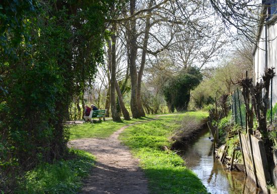 543858-Sentier_sous_le_chemin_des_Costils_Lambalard-Francois_DECAENS___Ville_de_Caen