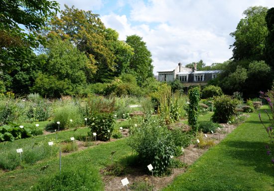 567627-Jardin_des_plantes-Francois_DECAENS___Ville_de_Caen