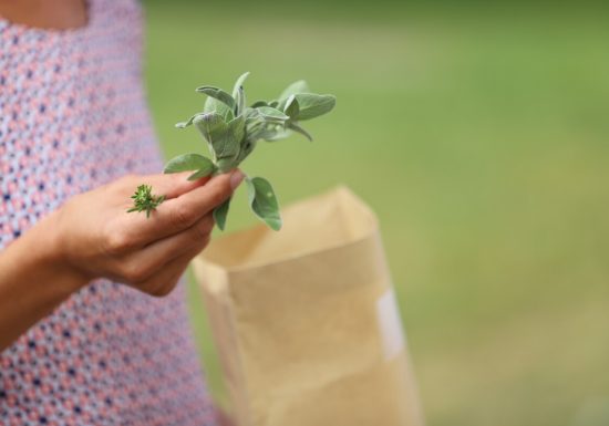 596610-Visite_guidee__le_bourg_de_Ouistreham_en_5_experiences-Caen_la_mer_Tourisme___Olivier_BARJON-1200px