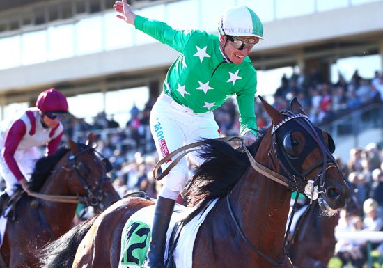 800x600_00217817-038-scoopdyga