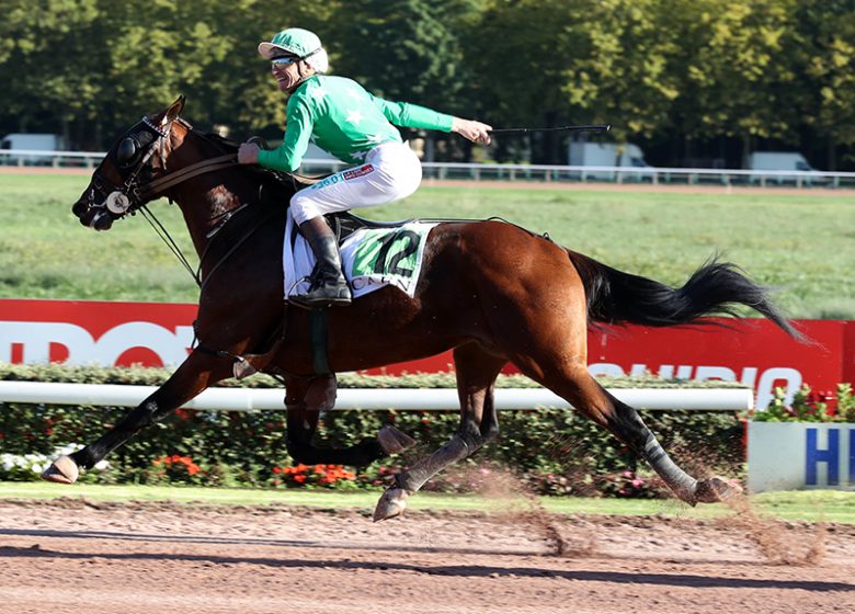 800x600_00217817-084-scoopdyga