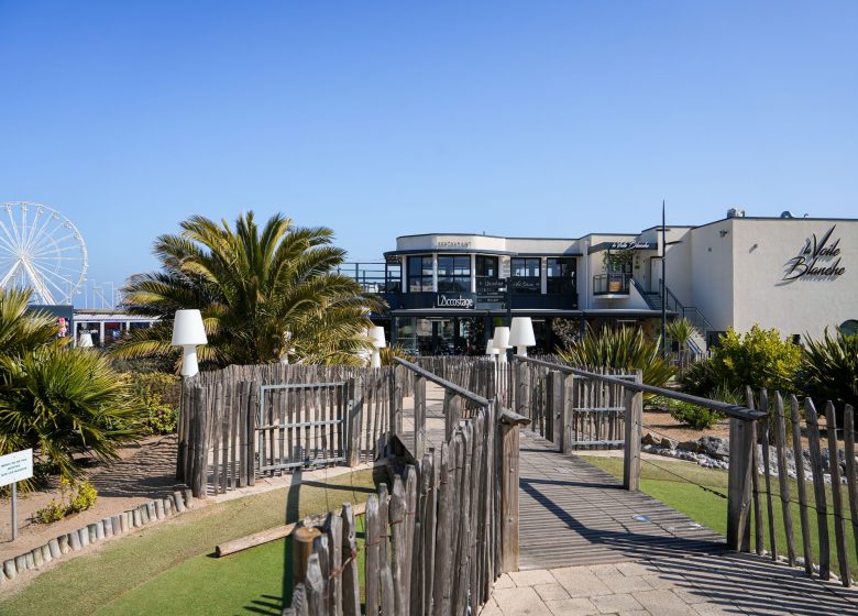 8f54f162-78ed-4868-a220-bbf6a6814f26