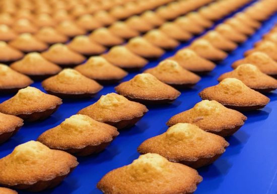 93644600_3200894666611013_3696732790377676800_n (1)