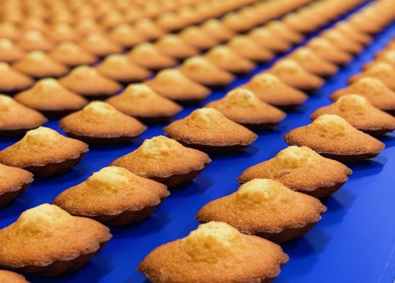 93644600_3200894666611013_3696732790377676800_n (1)