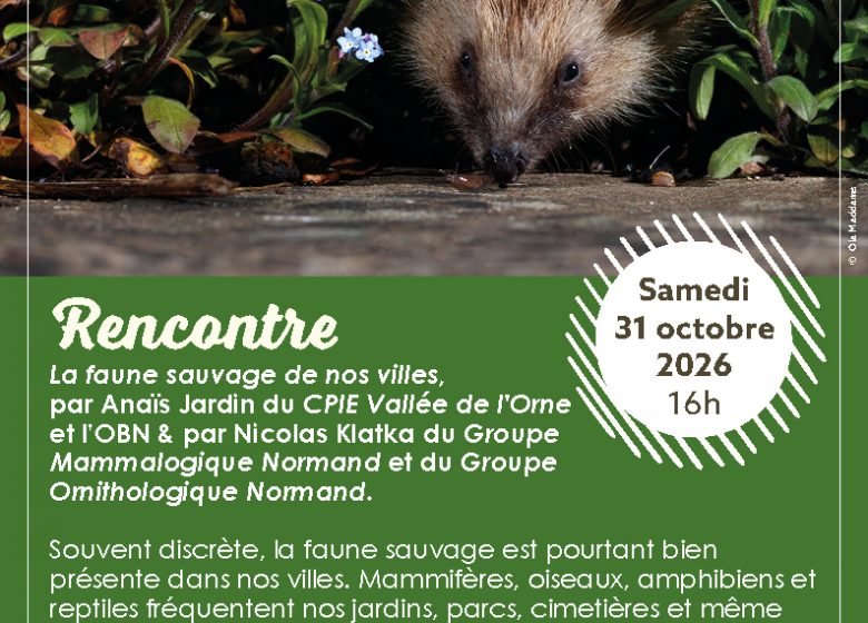 Affiche-rencontre-Faune-sauvage-octobre-2026