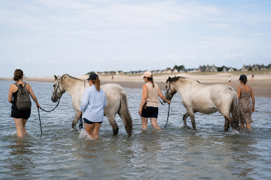Au pas des chevaux