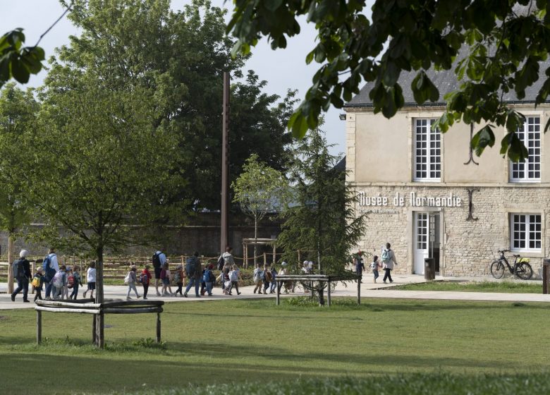 BD©Ph-delval Musée de Normandie 495