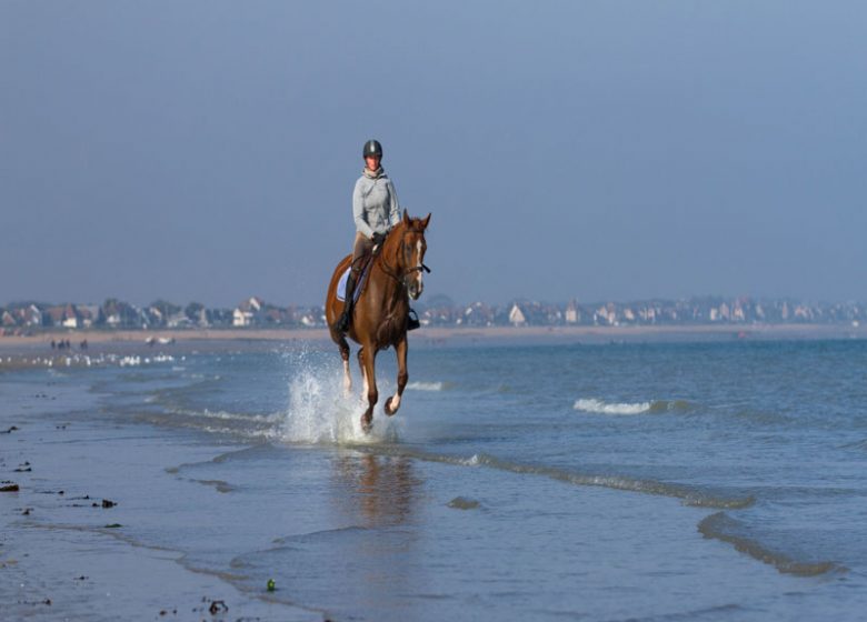 Balade equestre a la plage©CEO David Aissa
