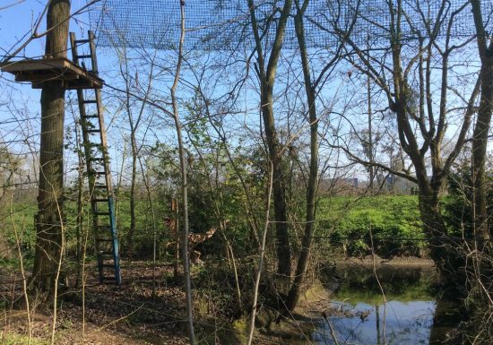 Beauregard accrobranche