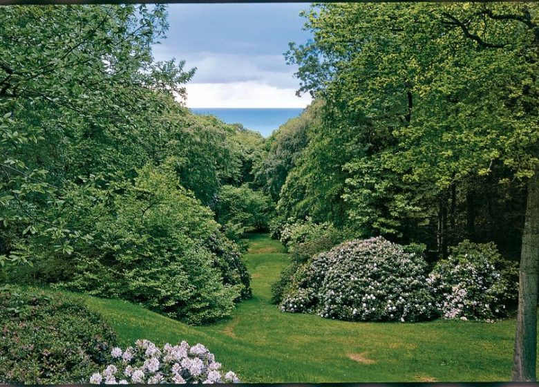 Bois-de-Morville–Pascal-Cribier