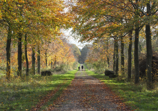 TOURINSOFT – Bois des Amis de Jean Bosco