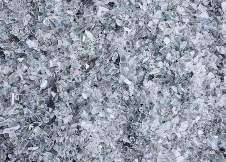 Céleste Boursier-Mougenot, plage (détail), 2019.