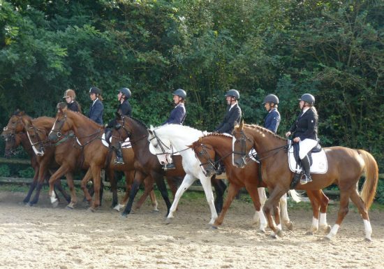 Centre Equestre Ouistreham 5