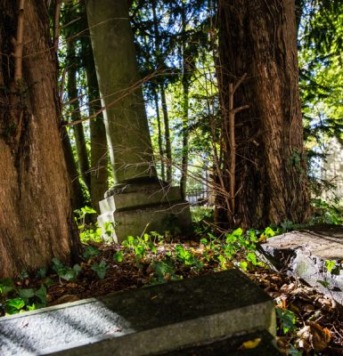 Eglise Saint-Nicolas