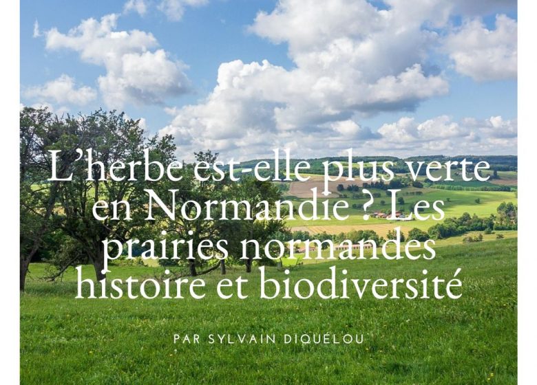 Conference14fevrier2026