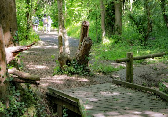 ENS Bois du Caprice – Mai 2021 ©Séverine Legrain (34)