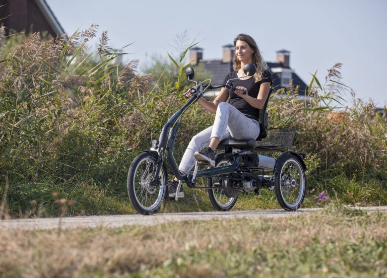 Tricycle VAE assis, stable et confortable pour rouler en bord de mer cheveux au vent