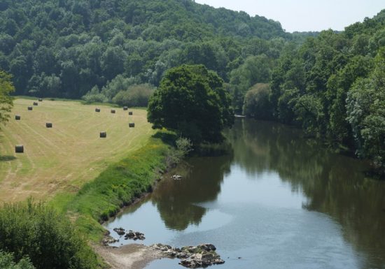 Forêt-en-bordure-de-l’Orne-