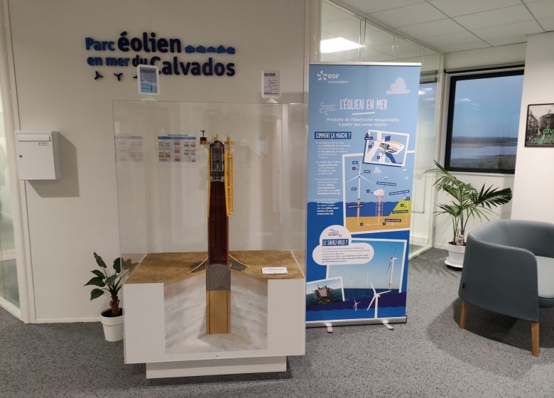 IMG_20241030_175806 Caen la mer Tourisme – Alix Jonet