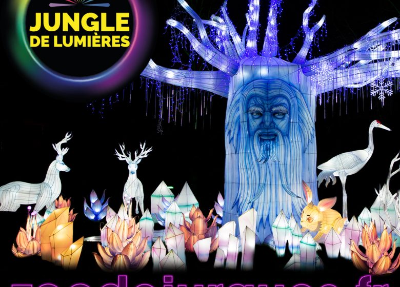 JDL2025-Arbre-1200x1200px