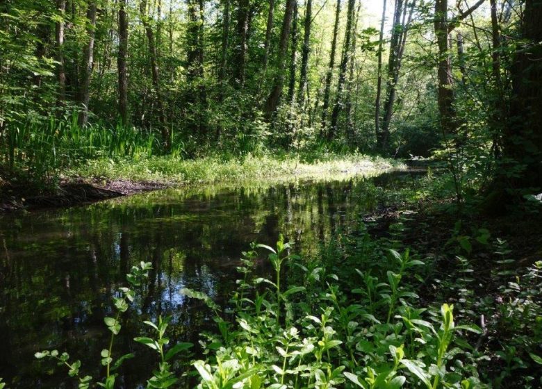 JFJ_Vallée Dan_201505_604b BD-copyrigt Dept 14