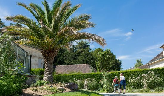 Jardin des Plantes © Caen la Mer Tourisme – Pauline & Mehdi photographie 568×321