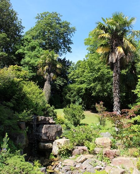 Jardin_des_plantes-Loic_Durand___Calvados_Attractivite-2863
