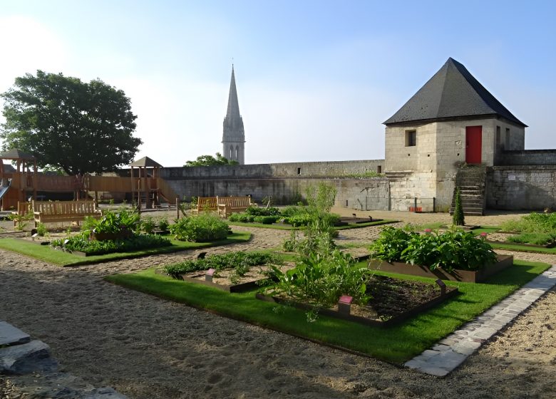 Jardin des simples à Caen